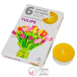 Illatmécses: tulipán 6db-os