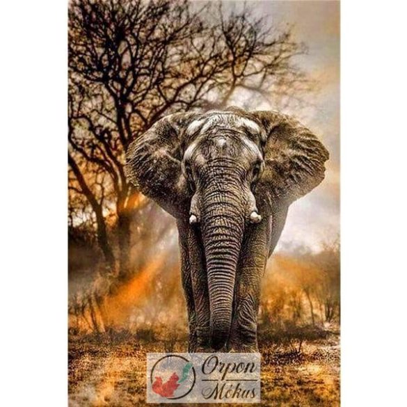 Afrikai elefánt gyémántszemes kirakó szett, 30*45 cm