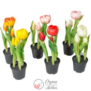 Cserepes gumi tulipán 3 virágos, 23 cm