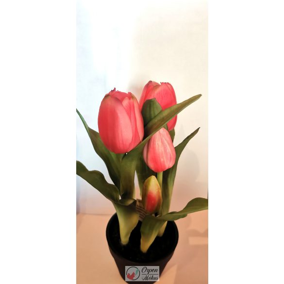 Cserepes gumi tulipán 5 virágos, 25 cm
