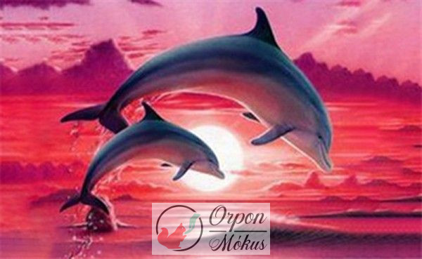 Ugró delfinek gyémántszemes kirakó szett - 30x20 cm
