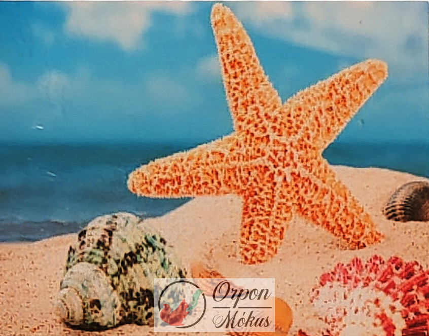 Tengeri csillag, csiga a tengerparton gyémántszemes kirakó szett - 30x20 cm (25x15 cm) - kerekköves